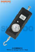 SKN-1ָʽӋ